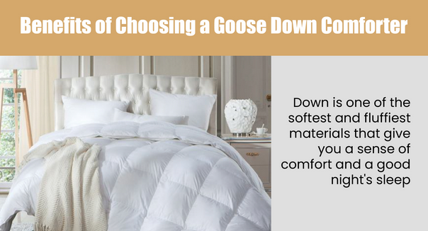 Benefits of Choosing a Goose Down Comforter
