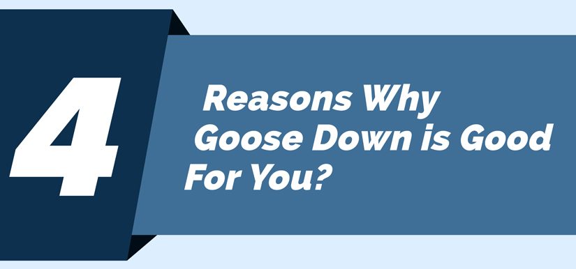 Reasons Why Goose Down is Good For You?